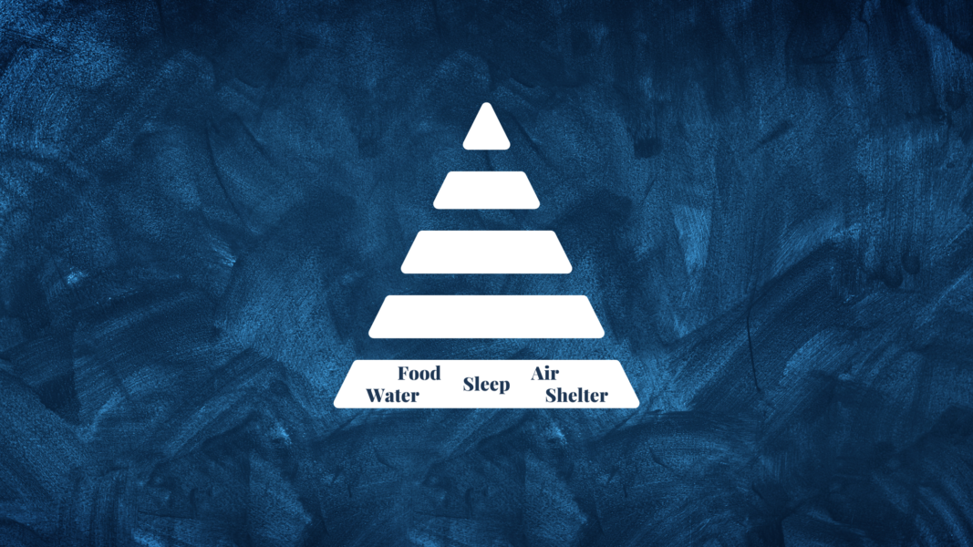 pyramid of needs